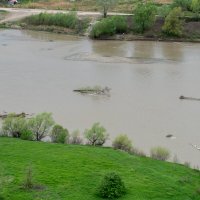 Река Кубань :: Игорь Сикорский