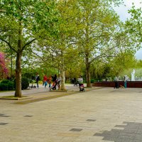 Парк Победы :: Анна Пугач Парк Победы :: Анна Пугач