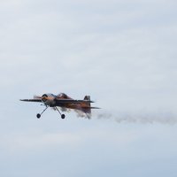 09.05.2025 :: Пасечник 