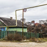 Элитный район & жизнерадостная атмосфера :: Коля Лукашов