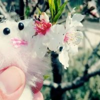 12  КЛОС (1132) :: CLOSE WAYS ALL