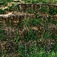 Весенние зарисовки 126 :: Алексей Кузнецов