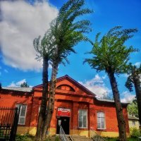 ***** :: Алексей Архипов