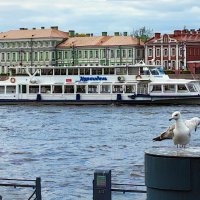 Когда не хватает порядка в акватории :: Стальбаум Юрий 