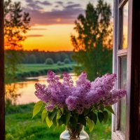 Букет сирени на окне :: Сергей Кочнев