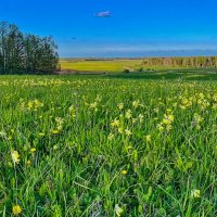 Spring 100525 m :: Arturs Ancans