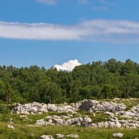 В Горах на высоте 2200 метров :: Игорь Сикорский