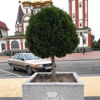 Гусев :: Галина Минчук