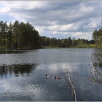 *** :: Aleksandr Gal