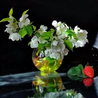 *** :: Валентина Богатко 