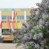 Мой город. :: Венера Чуйкова Мой город. :: Венера Чуйкова