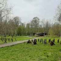 Участок оборонительного рубежа "Ижора" :: Наталья Герасимова