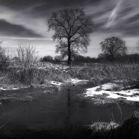У Чёрной речки... :: Владимир Шошин