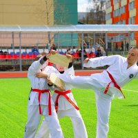 точный  удар :: Владимир иванов