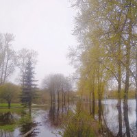 Подтопление :: Сергей Кочнев