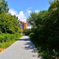 Чебоксары. Рябиновая аллея сквера клиники "Северной" летом. :: Пётр Чернега