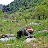 НАШИ ПРОГУЛКИ. :: Виктор Осипчук