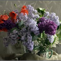 Гимн Весны :: Aleksandr Gal