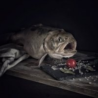 Ужин с возмущением. :: Галина Левина