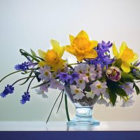 Апрельский микс :: Olenka 