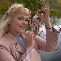 Застать цветение сакуры :: Валерий Паршин