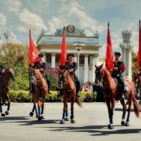 Торжественный смотр всадников. :: Татьяна Помогалова