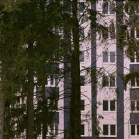 дом за парком :: Игорь Бухало