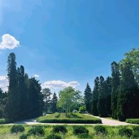 Красота мая. :: Георгиевич 