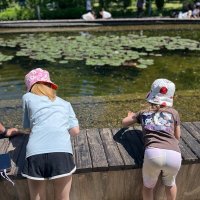 Вода увлекла :: Георгиевич 