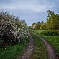 Весна :: Петр 