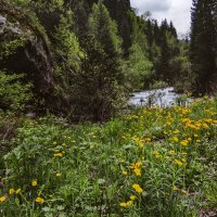 Талгарское ущелье,май :: LudMila 