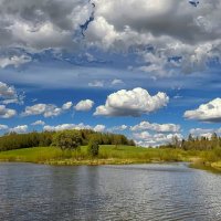 Spring 030525 3m :: Arturs Ancans