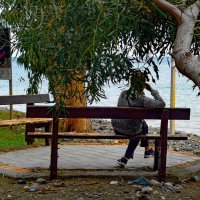 Приятное местечко для отдыха :: Oleg4618 Шутченко Приятное местечко для отдыха :: Oleg4618 Шутченко