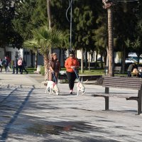 В парке :: Oleg4618 Шутченко