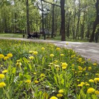 *** :: Валентина Береснева