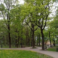 *** :: Валентина Береснева