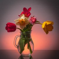 Ваза с цветами. :: Анатолий Нецепляев