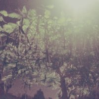 111 (129) :: СТРЕН 