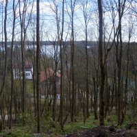 Токсово :: zavitok *