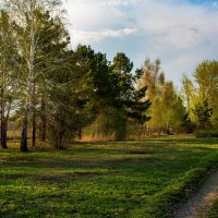 Утро :: Петр 