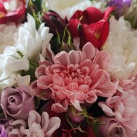 ... :: Сергей Тимоновский