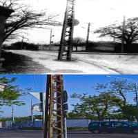 1980х-2025х :: Giant Tao /