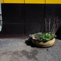 *** :: Валерий Михмель 