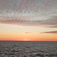 Хоста...закат :: Екатерина Филипенко