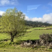 Мир Природы / Natural World - Мир, Природы, Natural, World :: "The Natural World" Александер