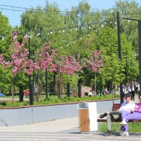 Май. :: Венера Чуйкова