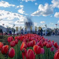 Фонтан Дружбы народов ВДНХ :: Andrew Фонтан Дружбы народов ВДНХ :: Andrew