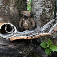 Фоторепортер на природе… :: Любовь 