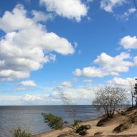 Ладожское Озеро :: Наталья Герасимова