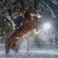 серебро :: игорь серебро :: игорь